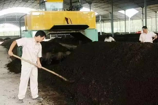 禽糞有機(jī)肥生產(chǎn)國家補(bǔ)貼對象、申報條件、流程、考核(圖1) 有機(jī)肥翻拋現(xiàn)場